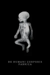 The Fabric of the Human Body