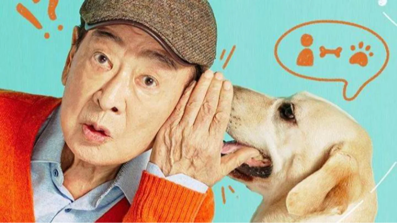 Dog Knows Everything