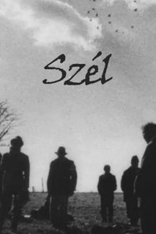Rüzgar
